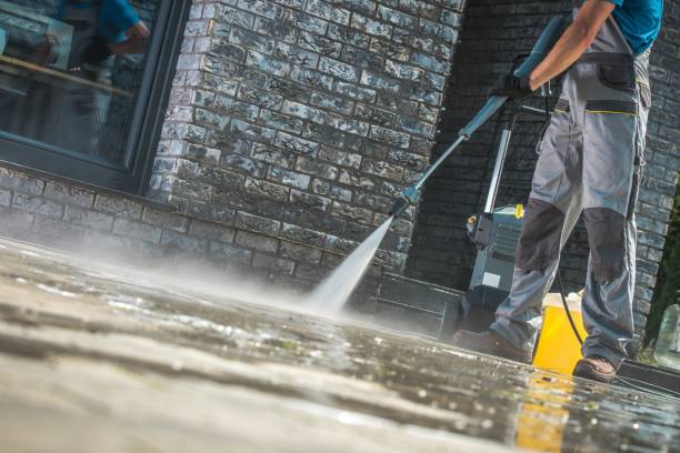 Animal Enclosure Cleaning in Ennis, TX